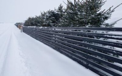 Jak Optymalnie Wykorzystać Sztachety Metalowe w Ogrodzie