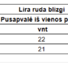 Metalinė tvorelės lentelė Lira Ruda Blizgi RAL 8017 – 68,80 m (Nr. 7412) - obrazek 4